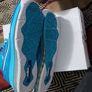 Nike Lebron 9 low Summit Lake Hornets